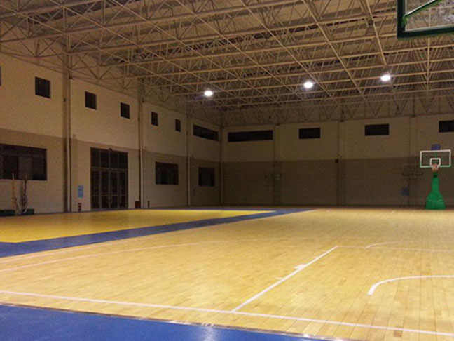 专业运动木地板